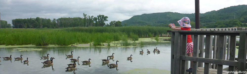 fall wetland 