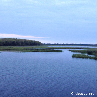 Marsh with open water and reeds