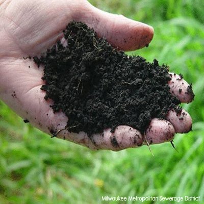 Hand holding wet soil