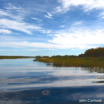 Marsh with open water in northern Wisconsin