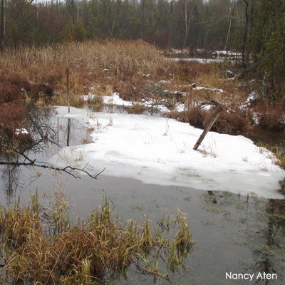 Wetland in winter with snow and water