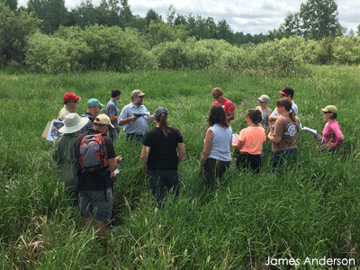 Group standing in wetland