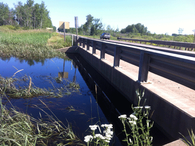 Wetland holding water next to road