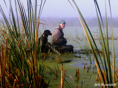 Man hunting in wetland with dog