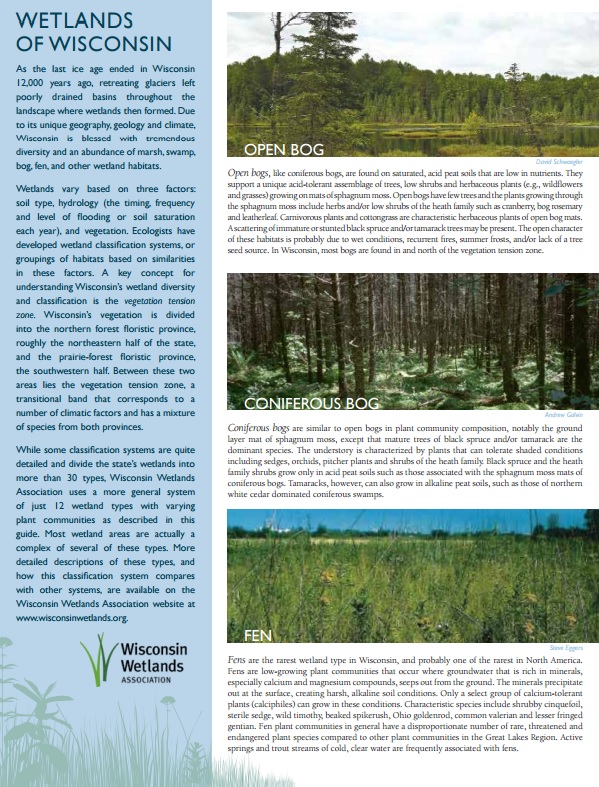 Wisconsin's Wetland Types guide cover