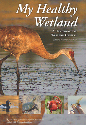 My Healthy Wetlands cover