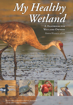 My Healthy Wetlands cover My Healthy Wetlands cover