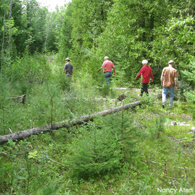 Group walking on trail through wetland