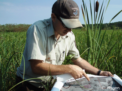 Man pointing at map in wetland Man pointing at map in wetland