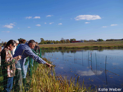 Group looking at water during wetland workshop Group looking at water during wetland workshop