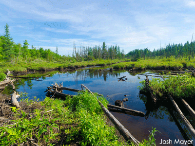 Wetland storing water