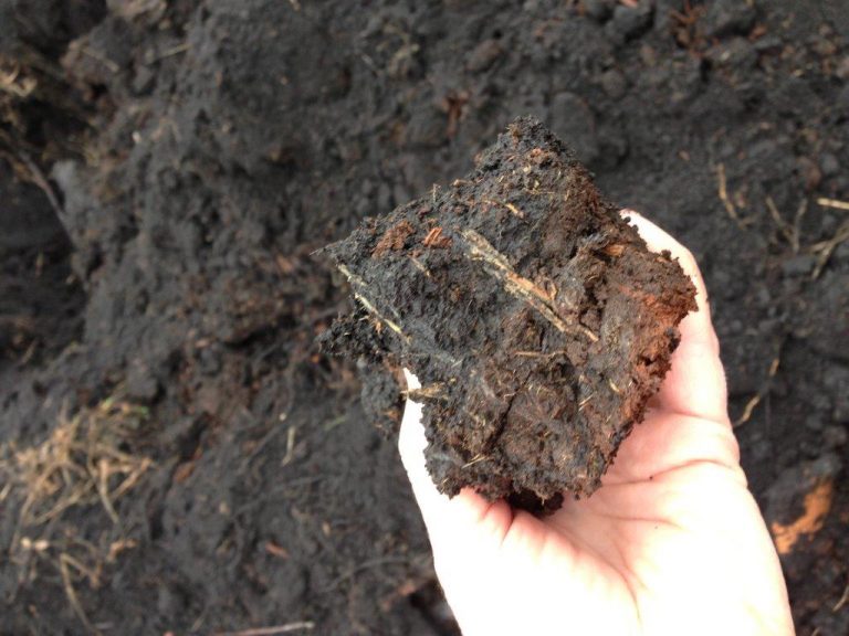 Potted Plant Soil Too Wet at Ruth blog