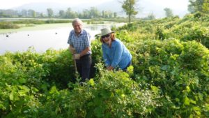 friends-of-the-la-crosse-river-marsh-credit-john-sullivan