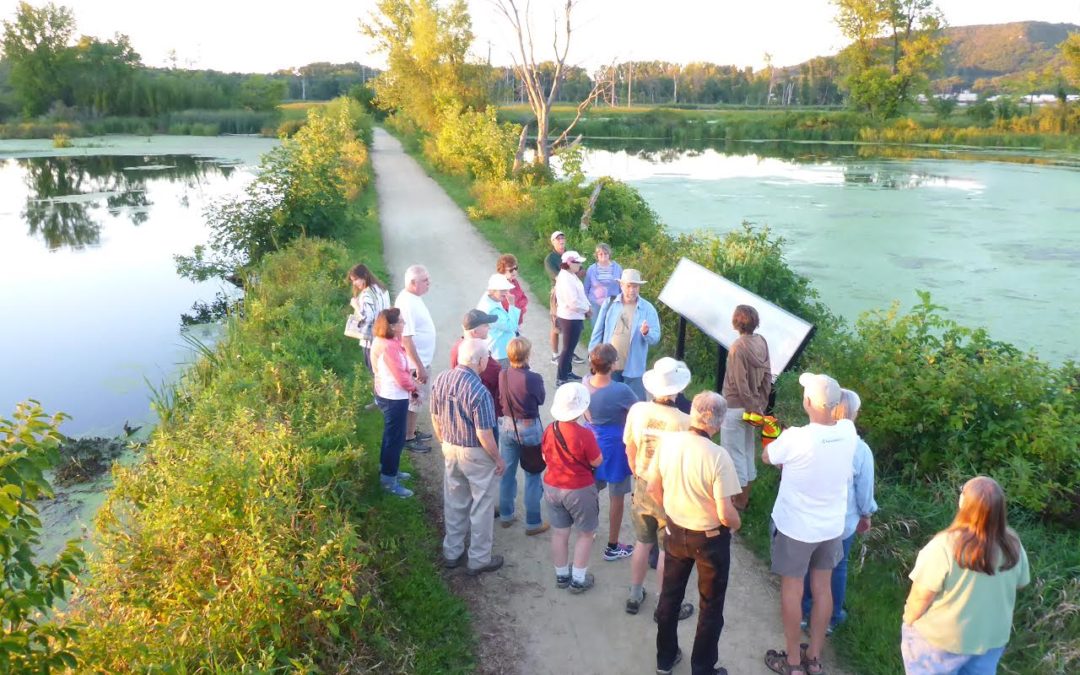 Protecting the La Crosse River Marsh