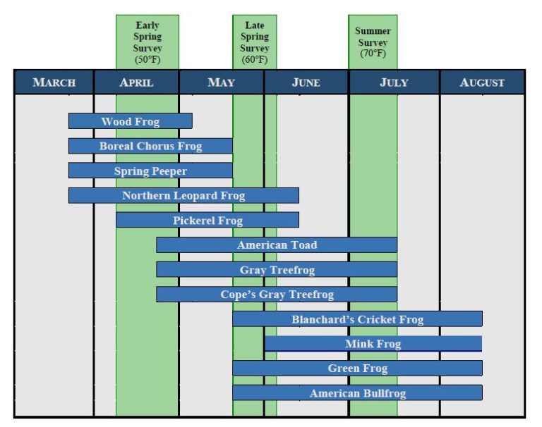 Identifying frogs and toads by their calls Wisconsin Wetlands Association