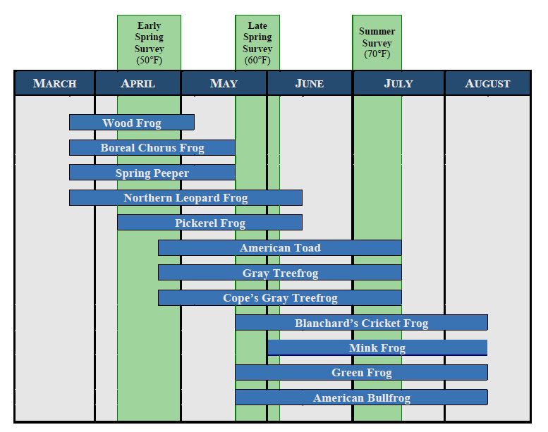 Identifying frogs and toads by their calls | Wisconsin Wetlands Association