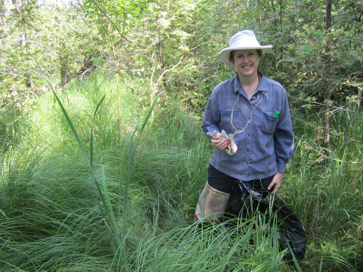 Caring for wetlands by mapping invasive plants