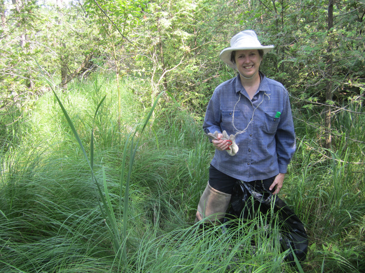 Woman standing in wetland pulling weeds