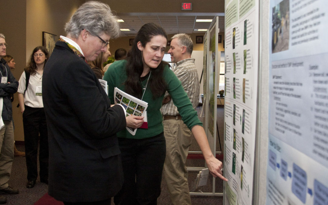 People looking at wetland science poster