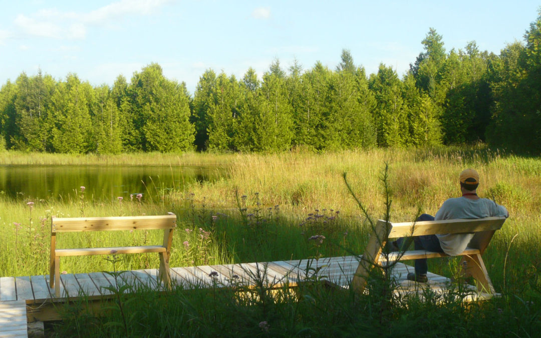 Man viewing wetland