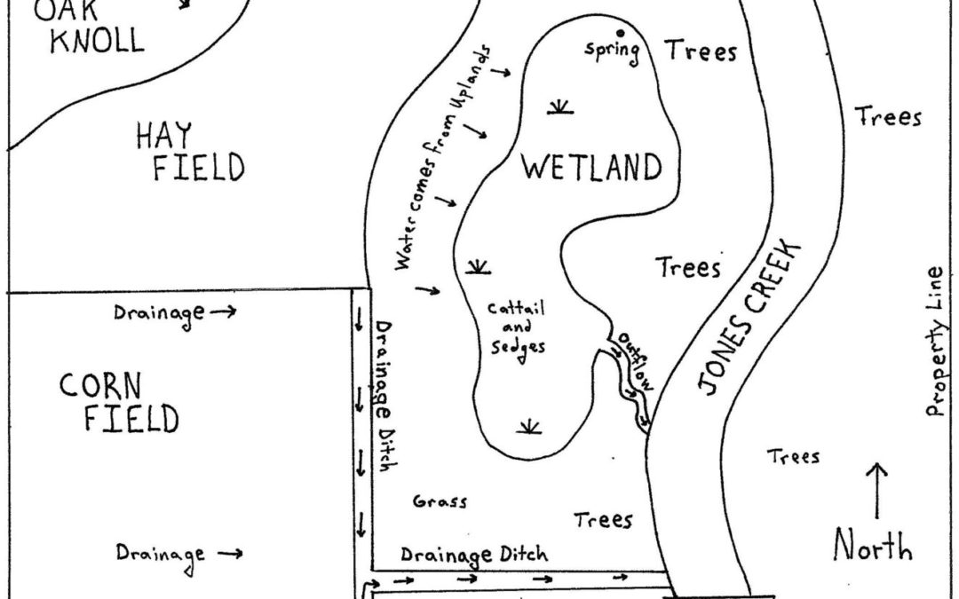 A map of a wetland.