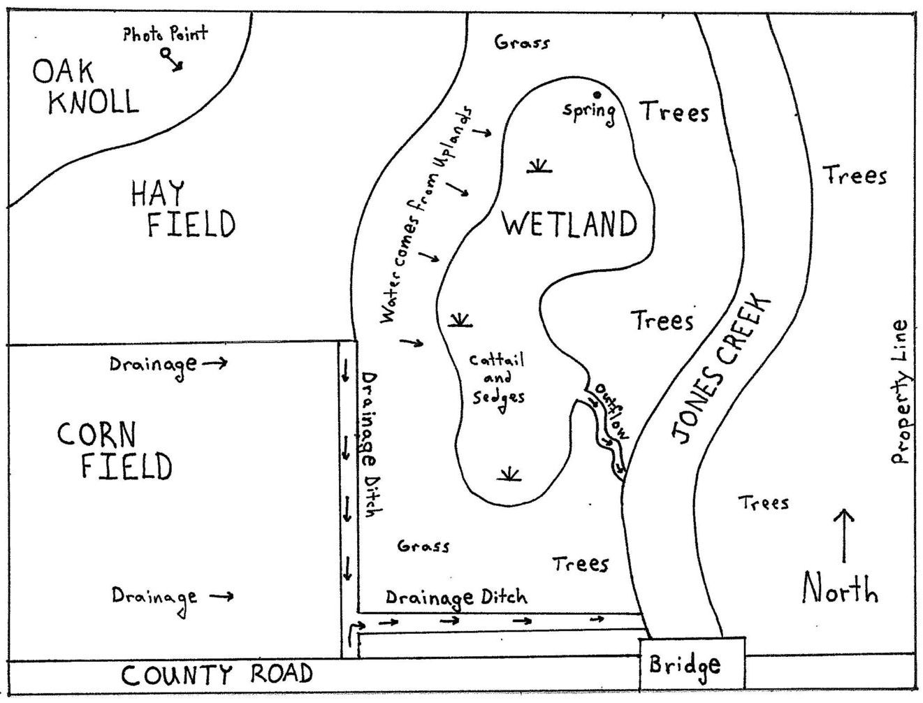 A map of a wetland.