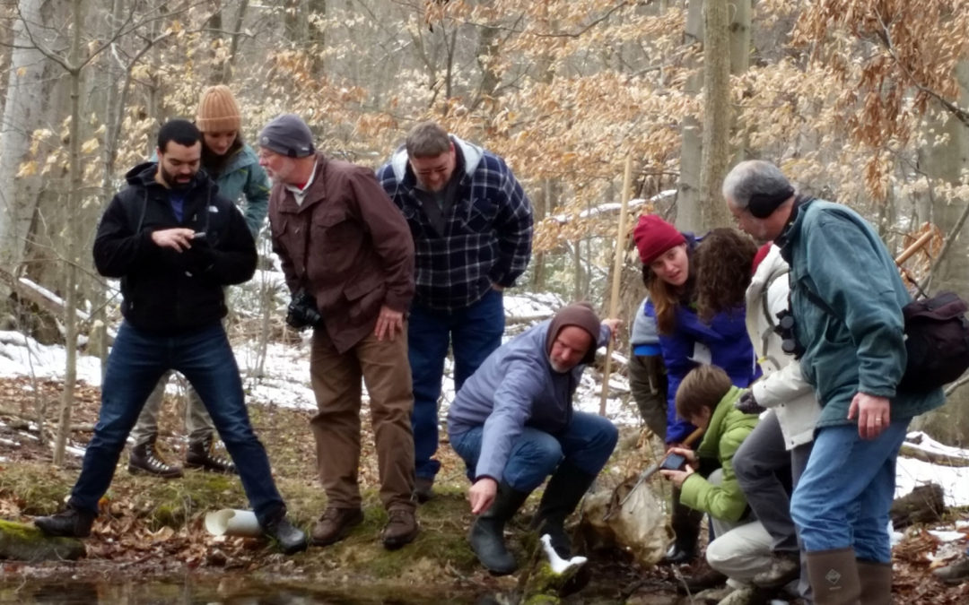 Group of people surveying vernal pool in Ohio