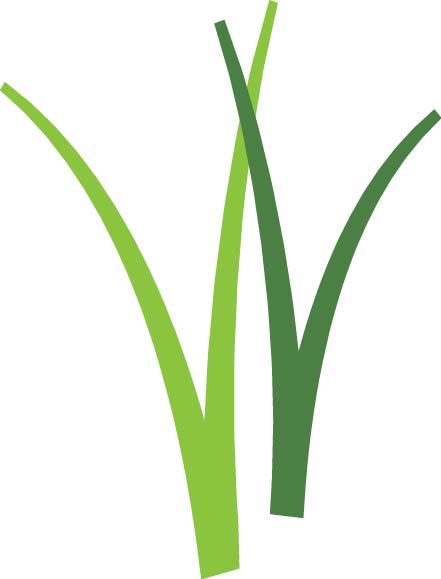 Wisconsin Wetlands Logo