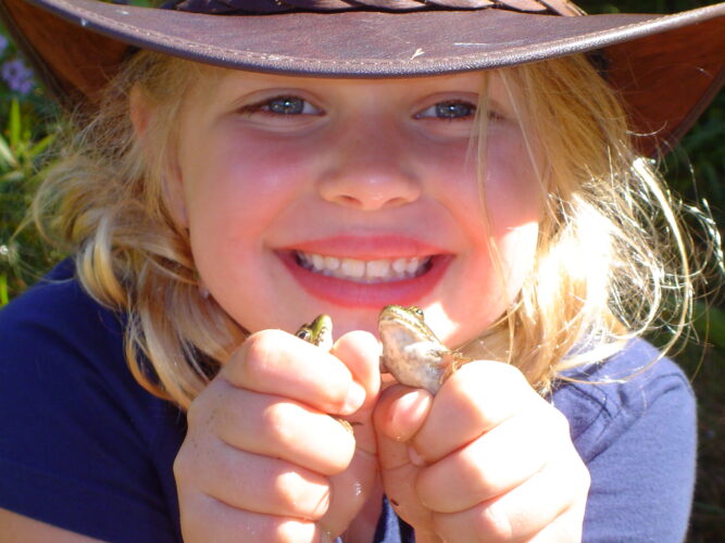 A young child holds up two frogs that they caught to the camera.