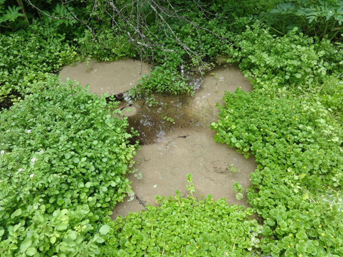 Surveying Wisconsin’s springs