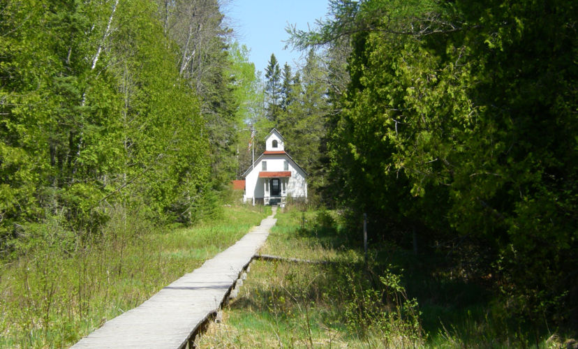 Boardwalk in Ridges Sanctuary