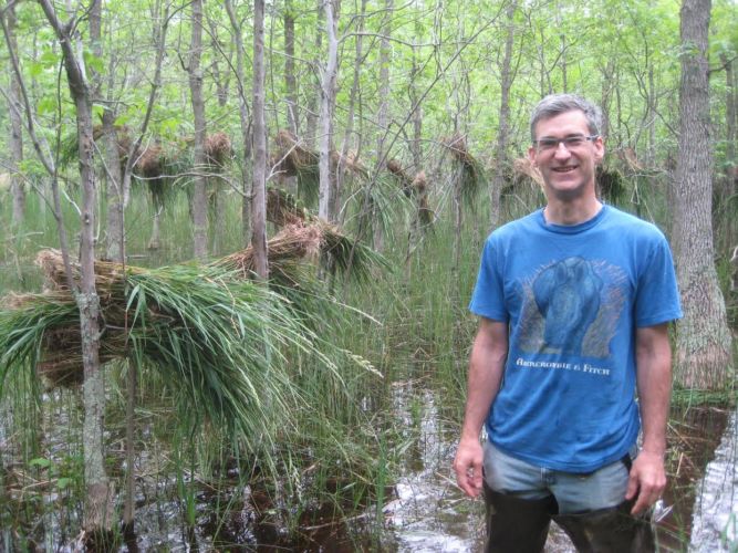 A wetland landowner poses with invasive reed canary grass that has been removed from his wetland.