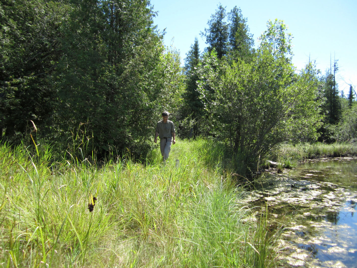 Landowners walk through and observe their wetland.