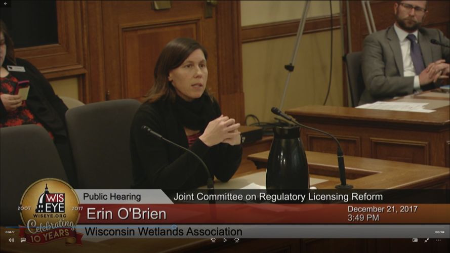 Policy Director Erin O'Brien testifying in opposition of AB547/SB600.