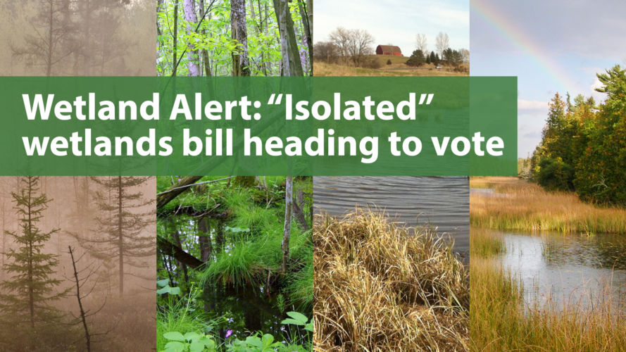 Wetland Alert: “Isolated” wetlands bill heading for a vote