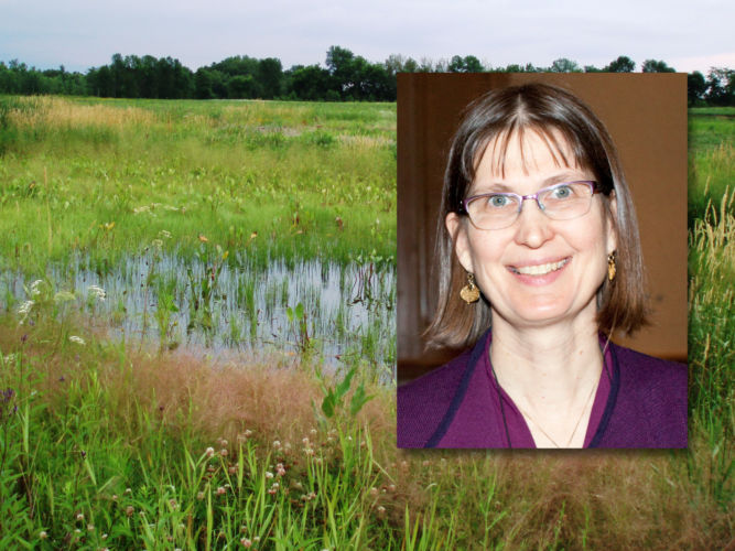 Gillian Davies, author of this post, is pictured. An ephemeral pond is also pictured.