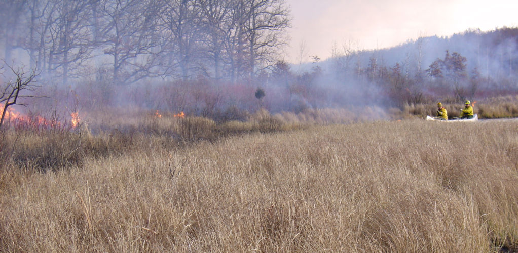 The USFWS conducts a prescribed burn in a marsh.