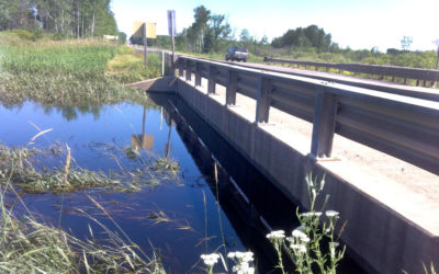 A wetland at work
