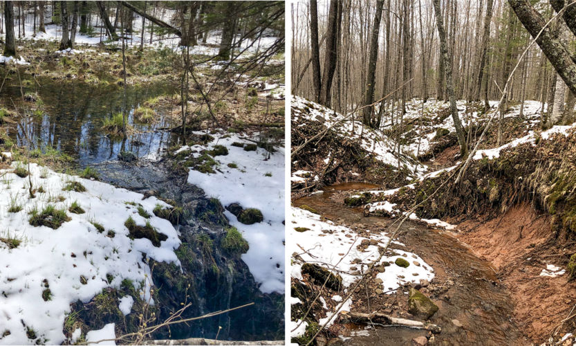 Examples of how gully erosion can drain an ephemeral pond (left—drainage flow evident where snow is melted in foreground) and degraded stream channels can increase flow and erosion (right).