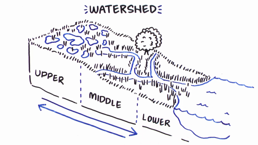 A ditch runs along the side of the road, draining the nearby wetland and altering the historic hydrology of the site.