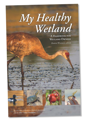 My Healthy Wetland handbook cover.
