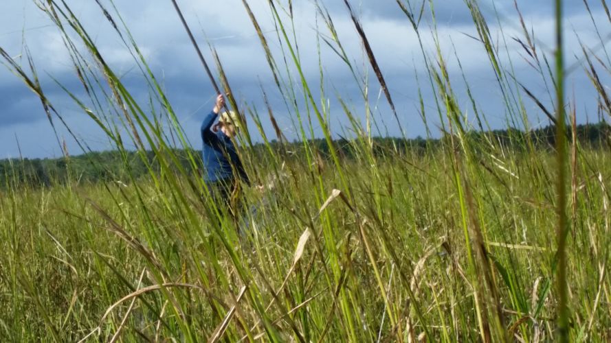 Manoomin: Food that grows on the water