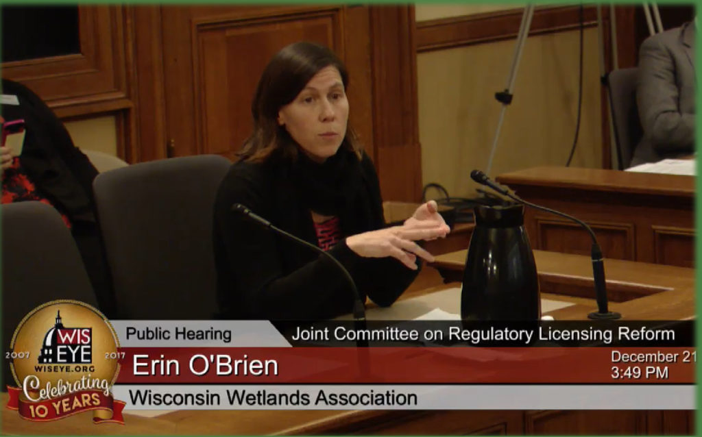 Erin O'Brien, WWA's current Policy Programs Director, testifying at a hearing.