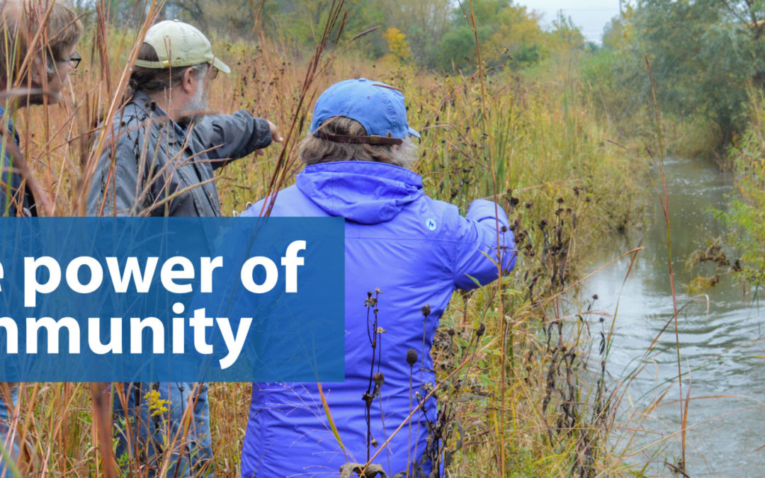 Advancing Wetland Conservation in Wisconsin