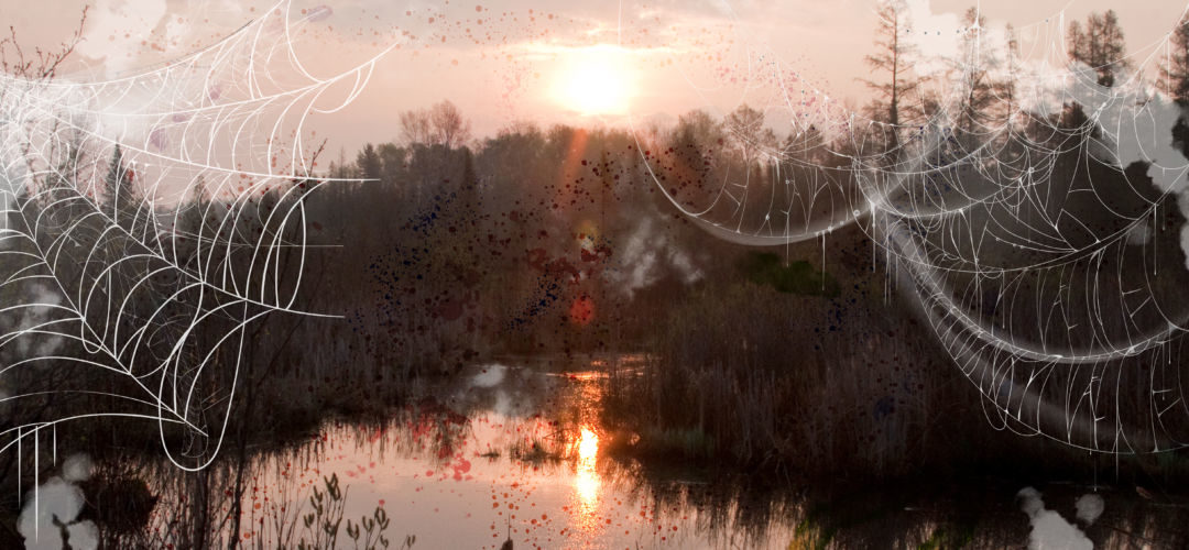 A wetland sunset with spooky graphics.