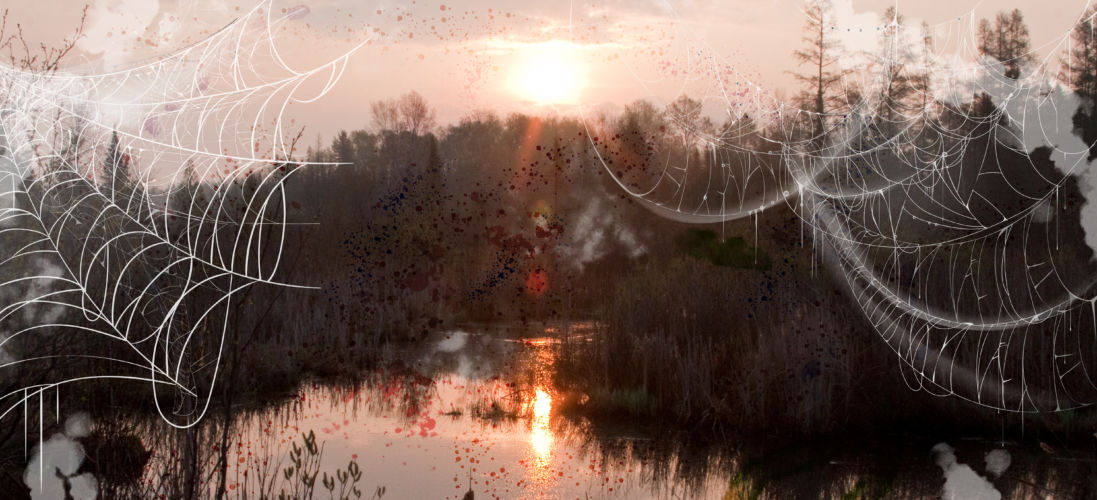 A wetland sunset with spooky graphics.