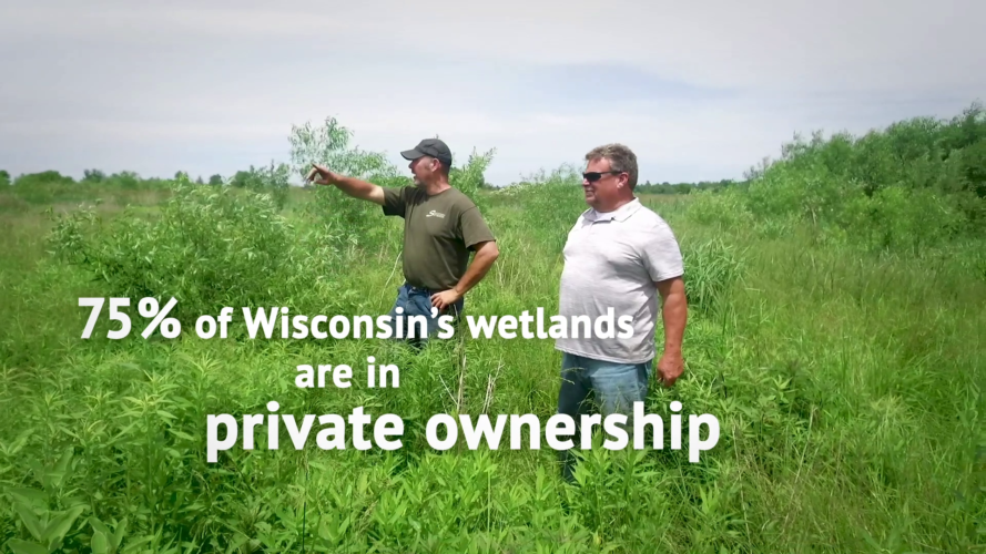 A farmer stands in his restored wetland, and the text "75% of Wisconsin's wetlands are in private ownership".