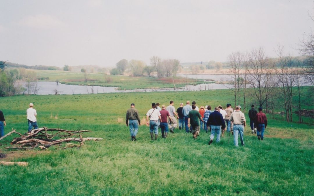 A group of workshop attendees walks towards a wetland.