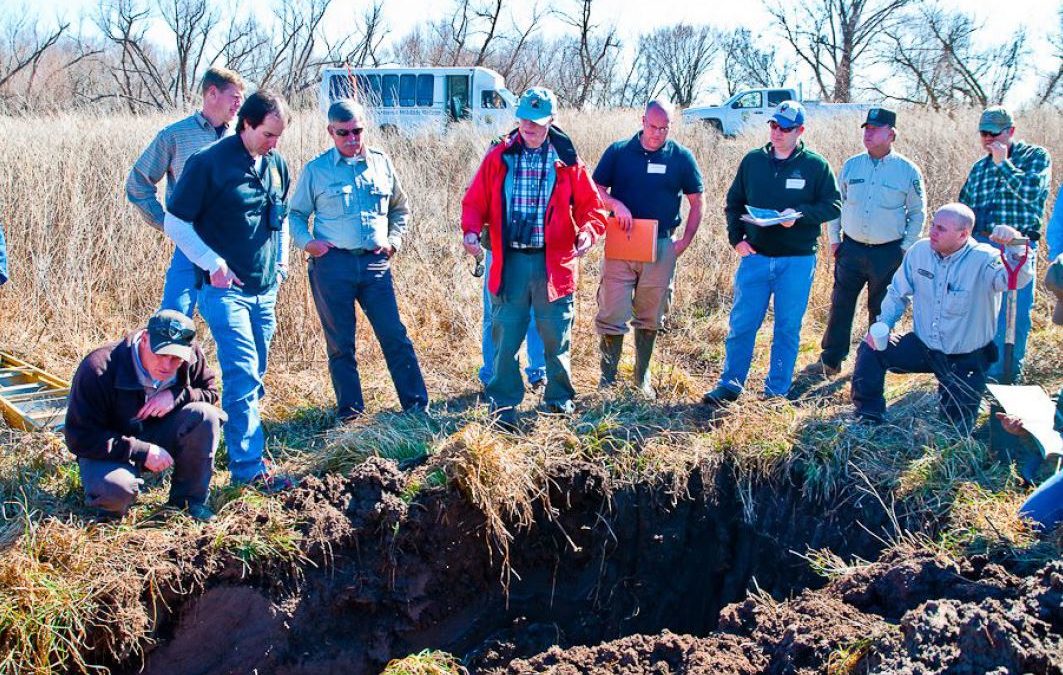 A group of wetland professionals in the field.