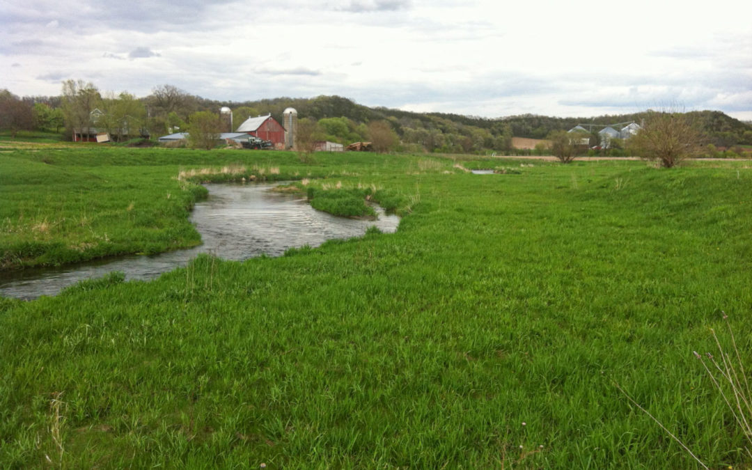 Black Earth Creek with functioning floodplain in foreground with red bard and farm in the background.